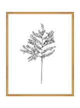 Winter Foliage Sketch II - HJART0332 - GLD - 24x30