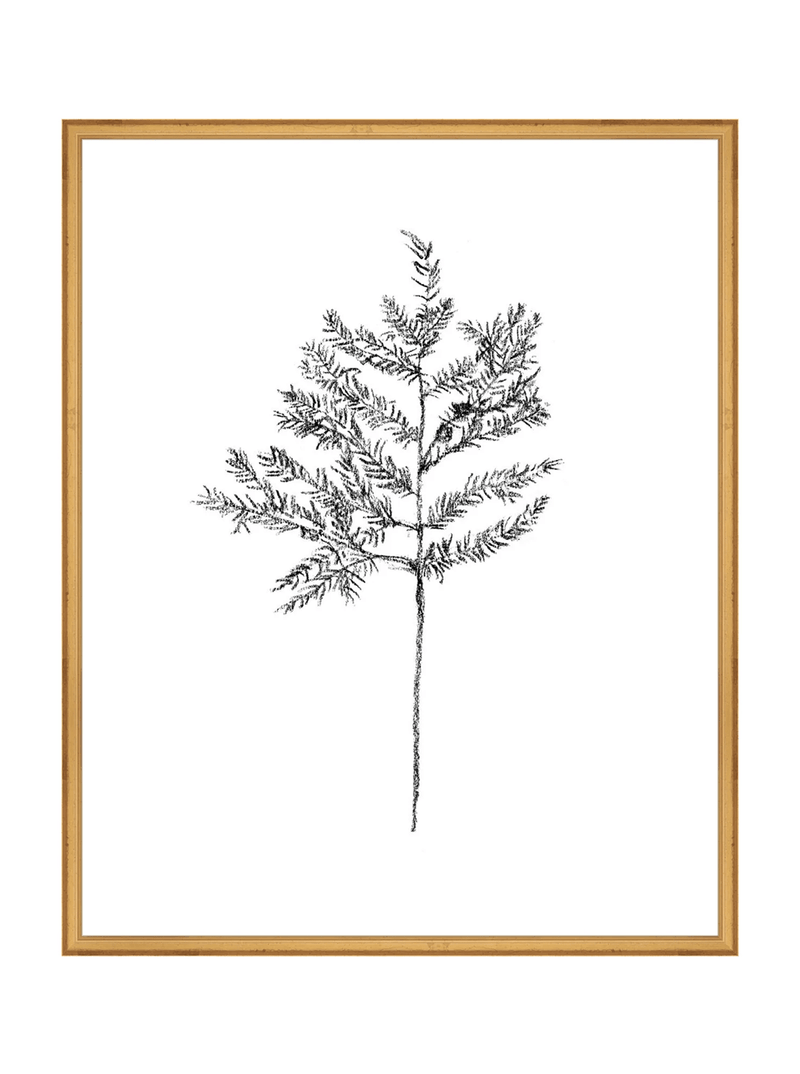 Winter Foliage Sketch II - HJART0332 - GLD - 24x30