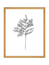 Winter Foliage Sketch II - HJART0332 - GLD - 16x20