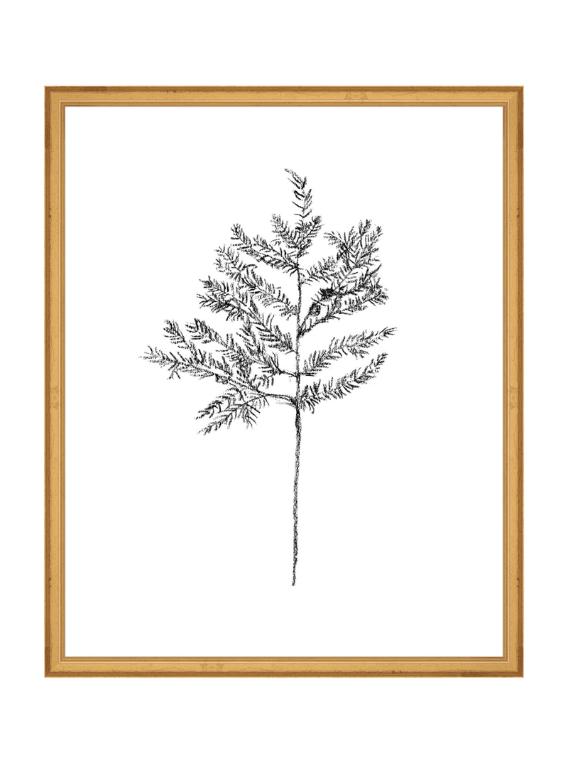 Winter Foliage Sketch II - HJART0332 - GLD - 16x20