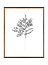 Winter Foliage Sketch II - HJART0332 - BKG - 24x30