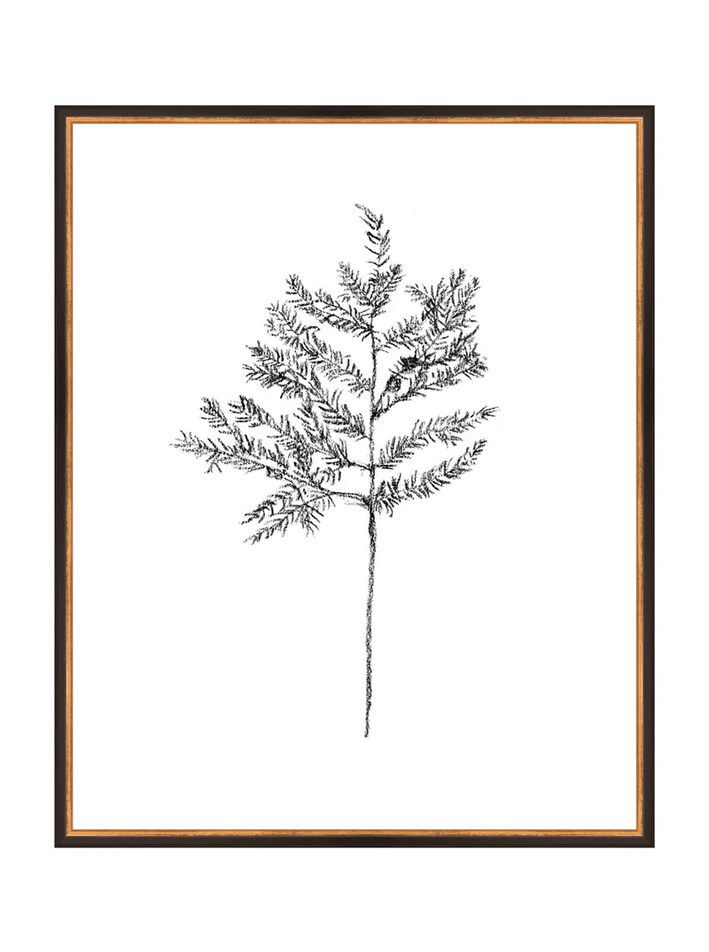 Winter Foliage Sketch II - HJART0332 - BKG - 24x30