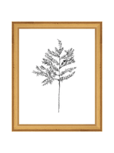 Winter Foliage Sketch II - HJART0332 - GLD - 8x10