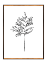 Winter Foliage Sketch II - HJART0332 - BKG - 30x40