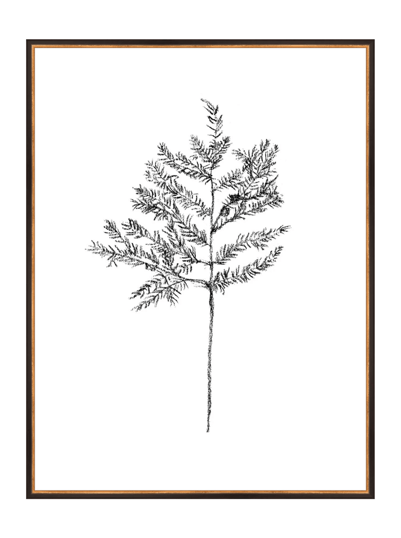 Winter Foliage Sketch II - HJART0332 - BKG - 30x40