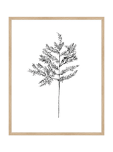 Winter Foliage Sketch II - HJART0332 - OAK - 24x30
