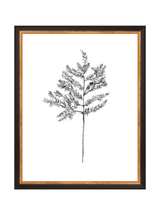 Winter Foliage Sketch II - HJART0332 - BKG - 11x14