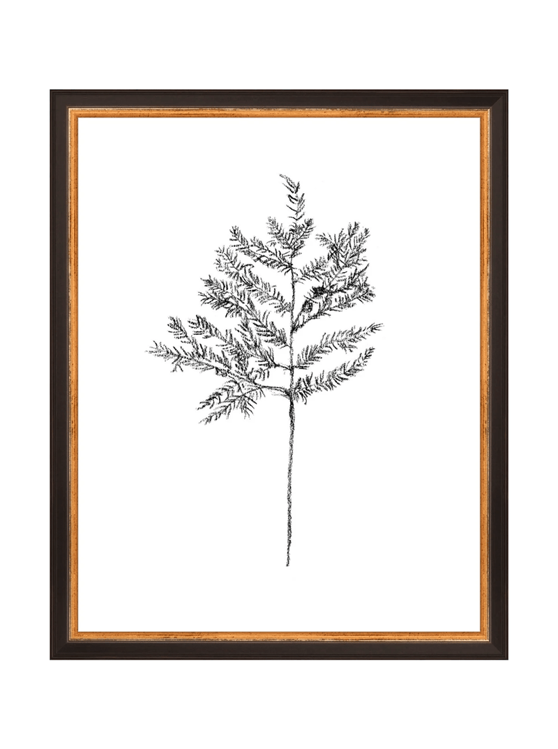 Winter Foliage Sketch II - HJART0332 - BKG - 11x14