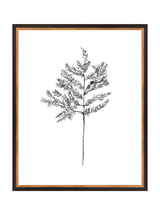 Winter Foliage Sketch II - HJART0332 - BKG - 16x20