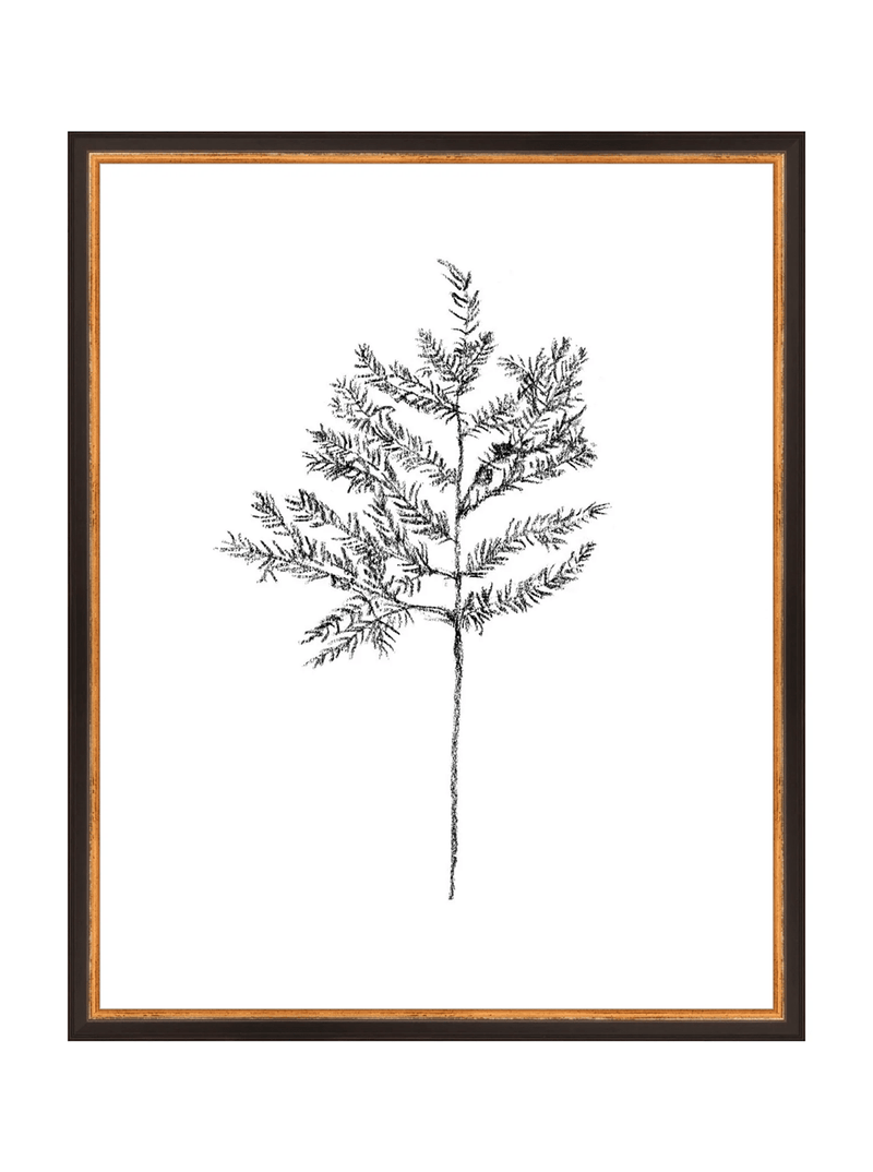 Winter Foliage Sketch II - HJART0332 - BKG - 16x20