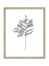Winter Foliage Sketch II - HJART0332 - SLV - 16x20