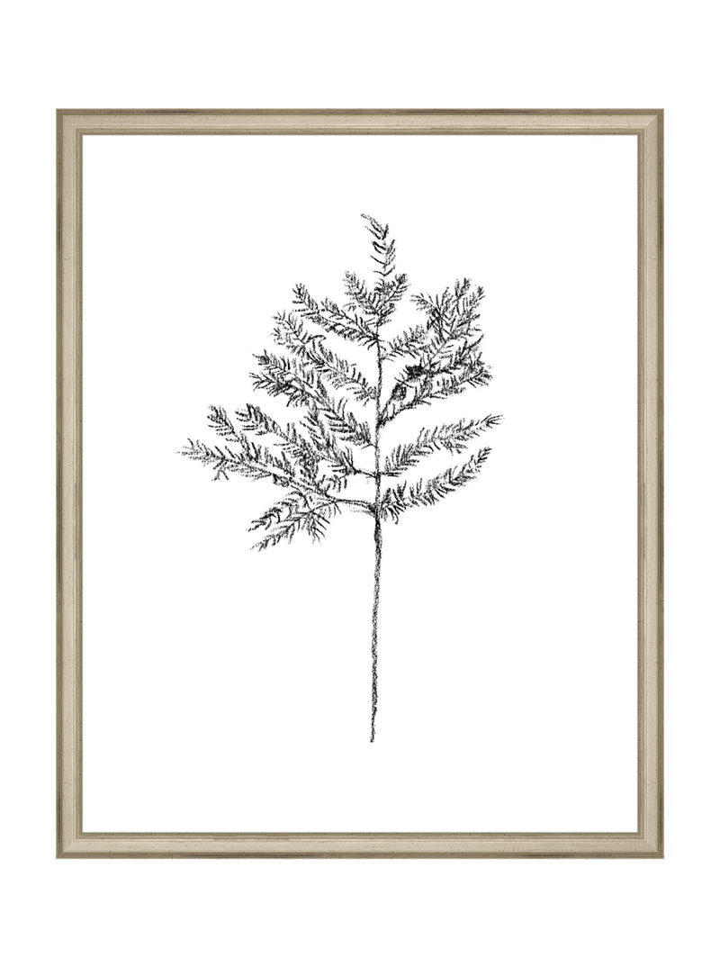 Winter Foliage Sketch II - HJART0332 - SLV - 16x20