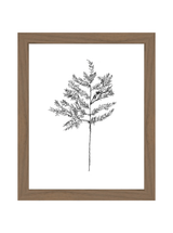 Winter Foliage Sketch II - HJART0332 - WAL - 8x10