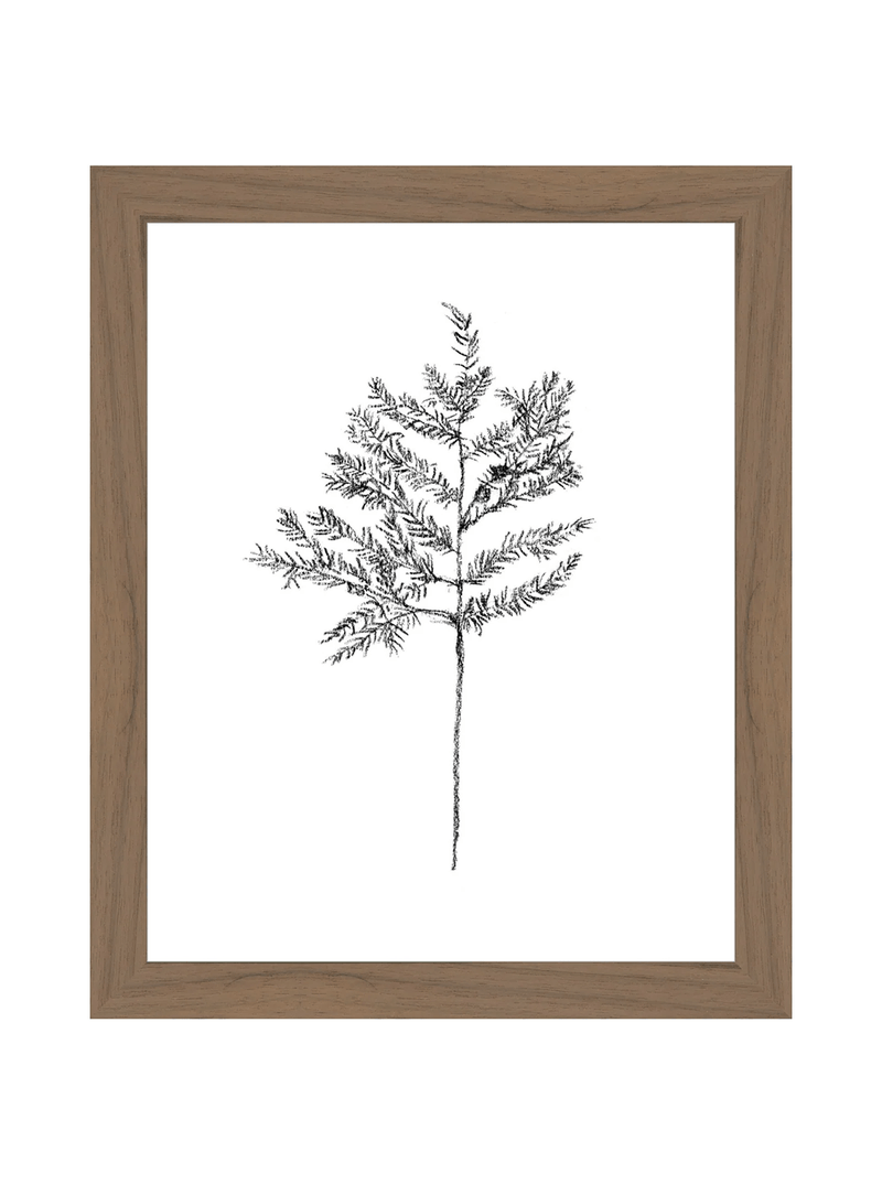 Winter Foliage Sketch II - HJART0332 - WAL - 8x10