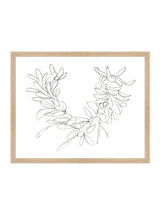 Winter Greens Sketch - HJART0072 - OAK - 16x20