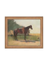 Saddled Horse