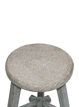 Bristol Stool