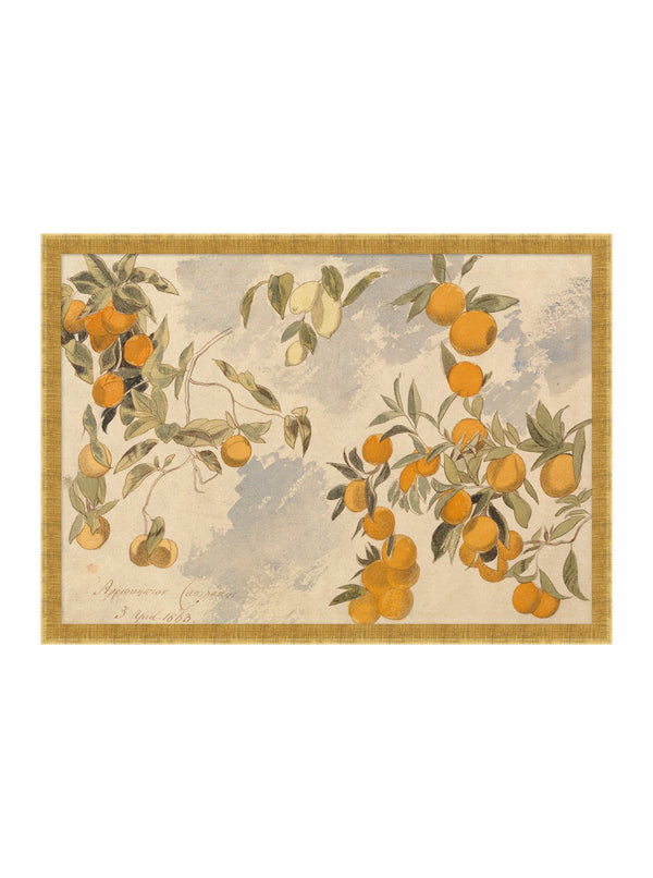 Citrus Bloom