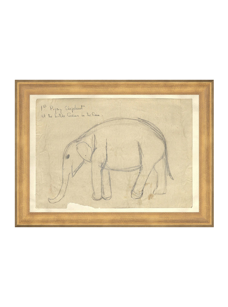 Elephant Sketch