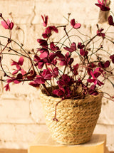 Faux Butterfly Stem