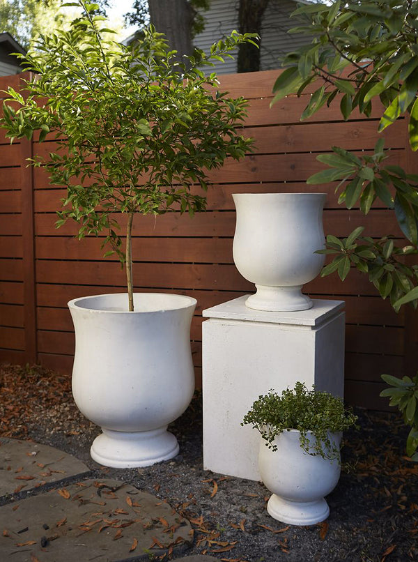 Bellini Planter