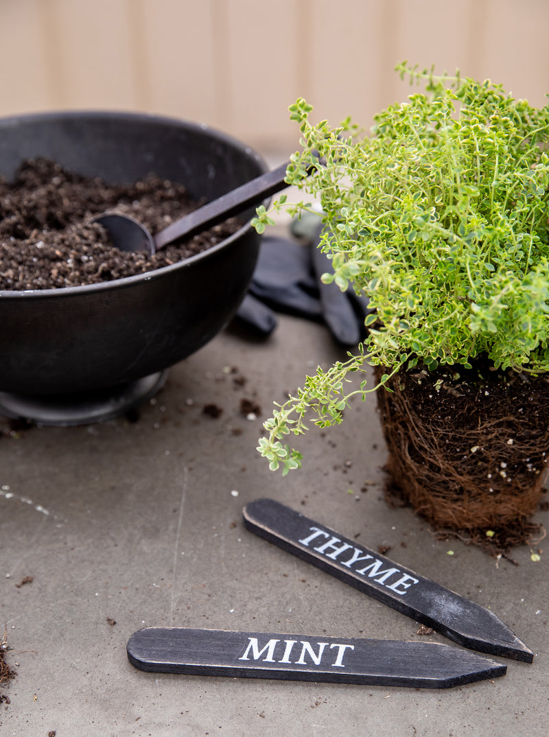 Herb Plant Stakes | Set of 9