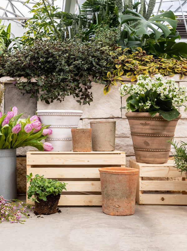 Talia Pots | Set of 3