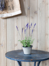 Faux Potted French Lavender