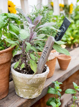 Herb Plant Stakes | Set of 9