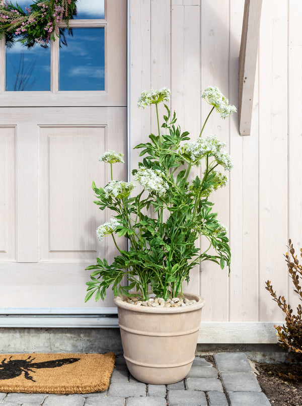Reuben Planter