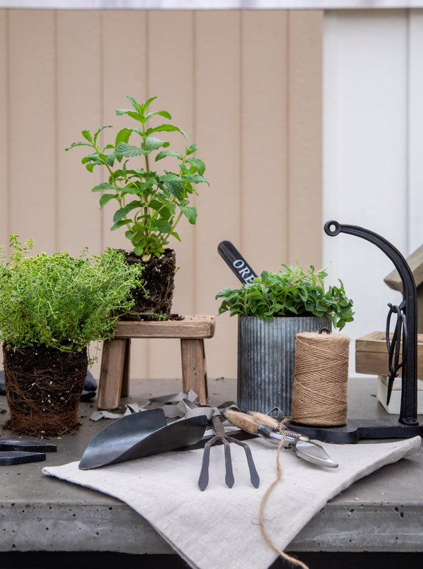 Forged Iron Jute Dispenser