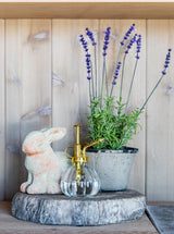 Faux Potted French Lavender