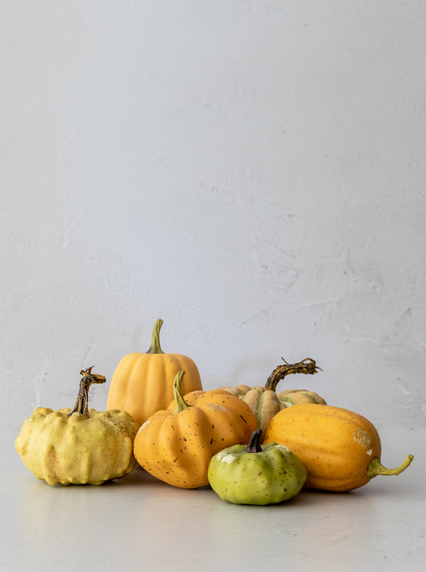 Little Pumpkins | Set of 6