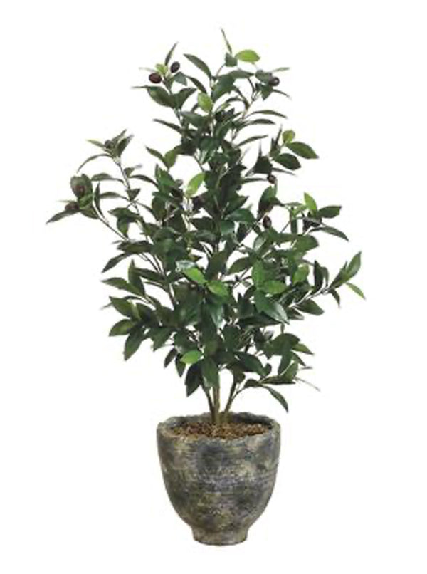 Potted 36" Faux Olive Tree