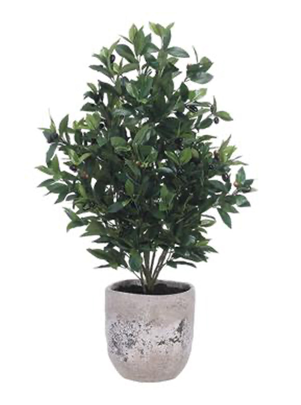 Potted 45" Faux Olive Tree