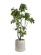 Potted 93" Faux Fig Tree