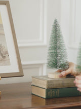 Evergreen Trees