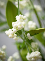Faux White Berry Wreath - HJGRN0084 - OS