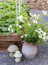 Terracotta Urn - HJDCR0035 - L