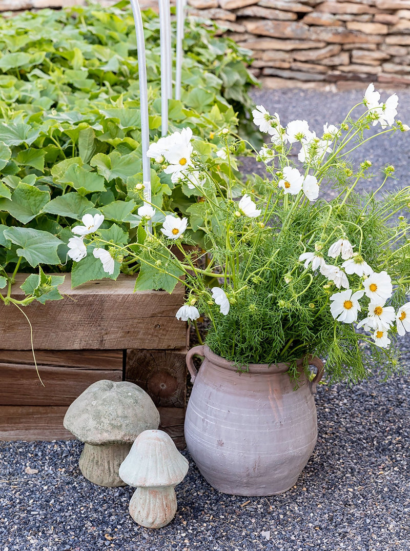 Terracotta Urn - HJDCR0035 - L